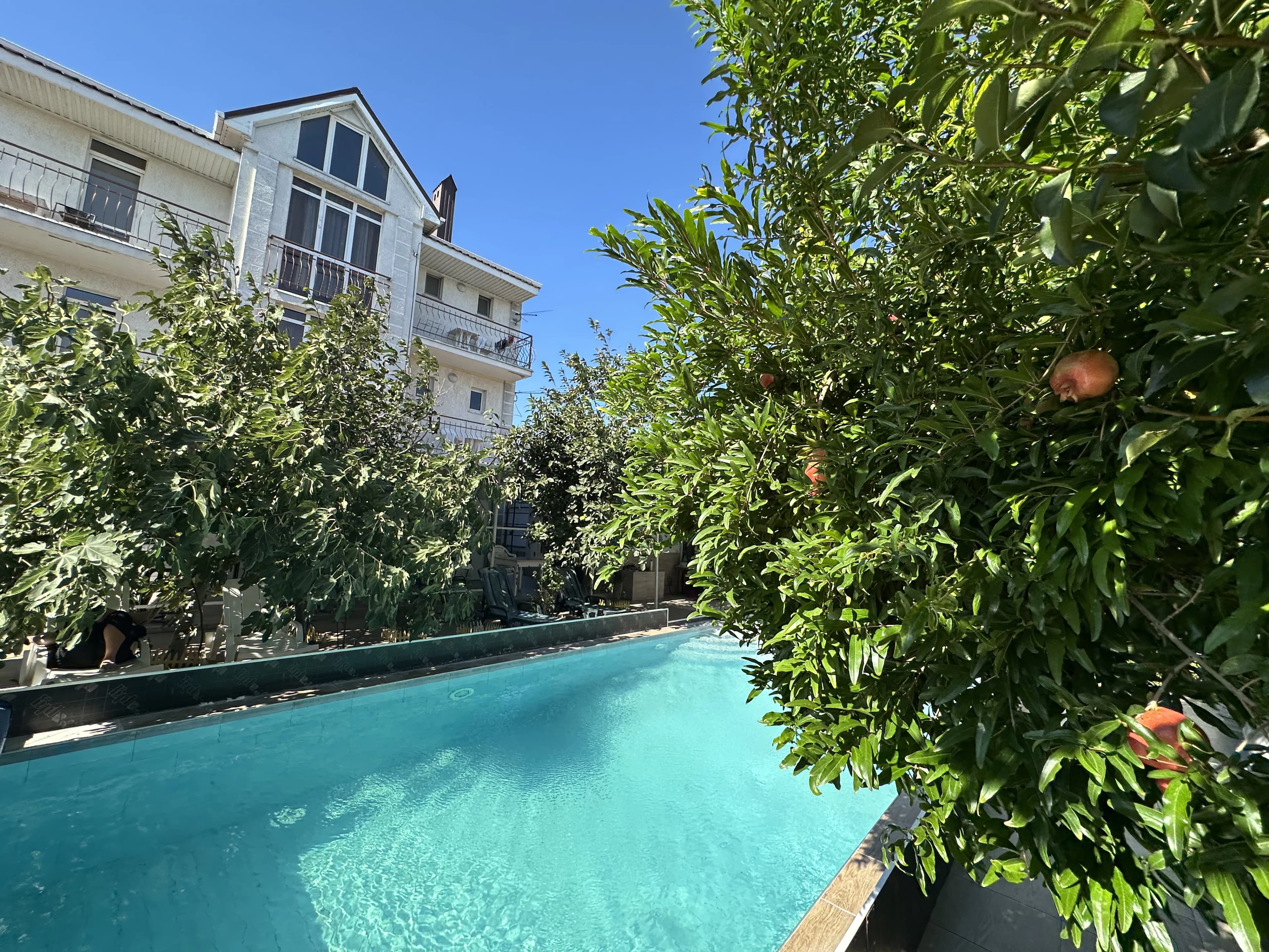 Фотографии тура: Гостевой дом “Солнышко”, Геленджик